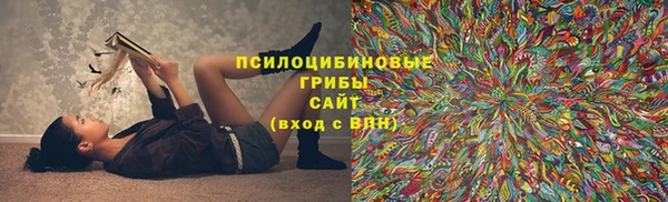 дурь Аркадак
